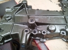 Benni 037